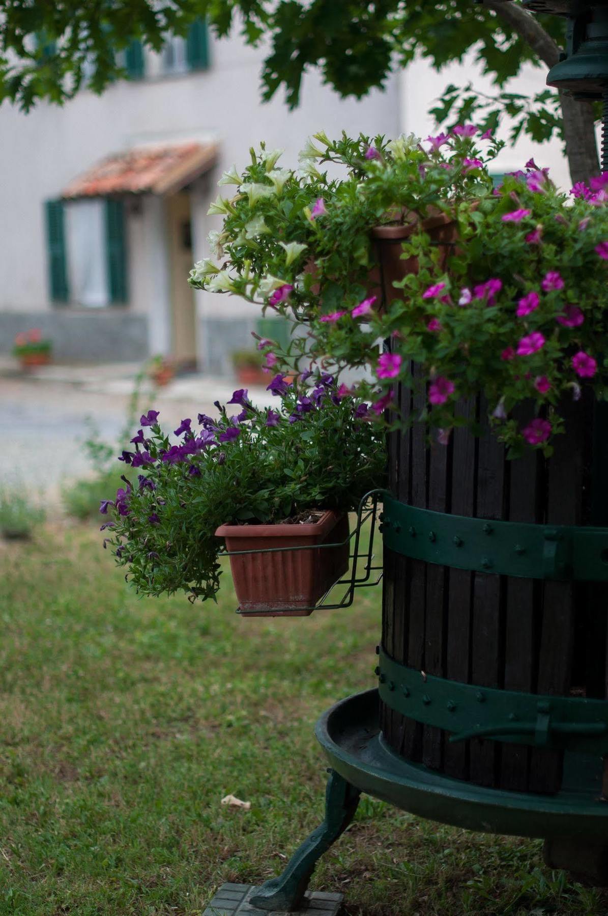 B&B Cascina Santa Gavi Exteriér fotografie